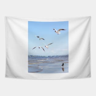 Flock of seagulls flying above the water Tapestry