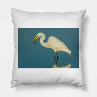 Great Egret with Shrimp Pillow