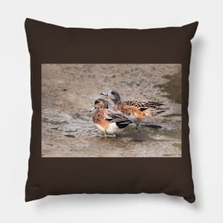 American Wigeon Pair Pillow