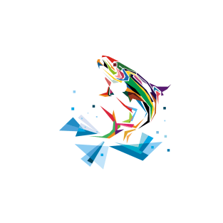 colorfull fish T-Shirt