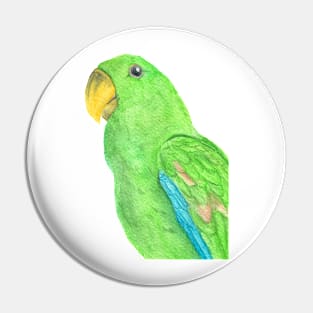 Green watercolor eclectus parrot - bird painting portrait Pin