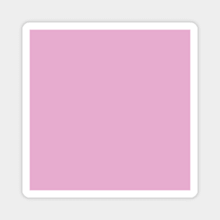 PLAIN SOLID Pink Pearl Magnet