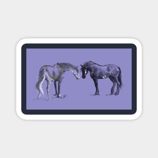 Two Horses Magnet