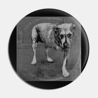 Alice's Dog Long Play BW Pin