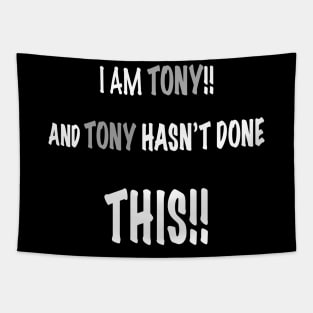 I am tony and tony has done this Tapestry