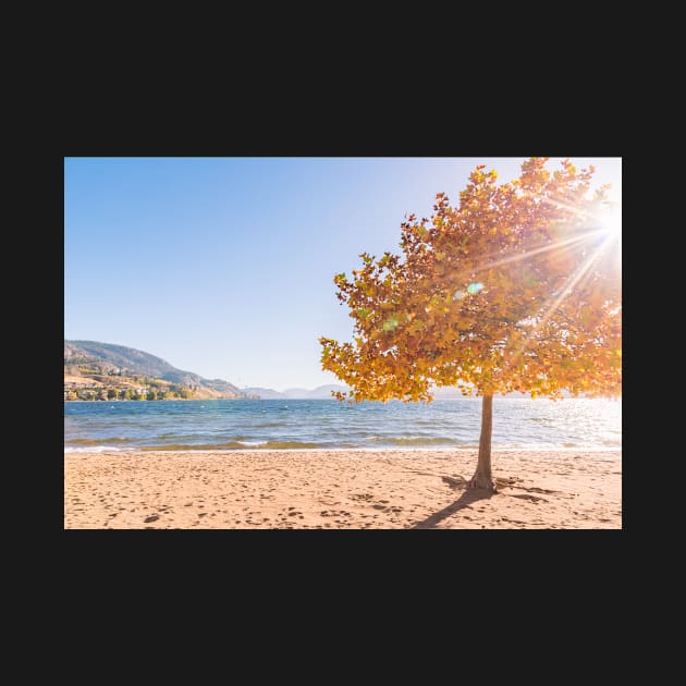 Autumn Maple Tree Beach Scene by Amy-K-Mitchell