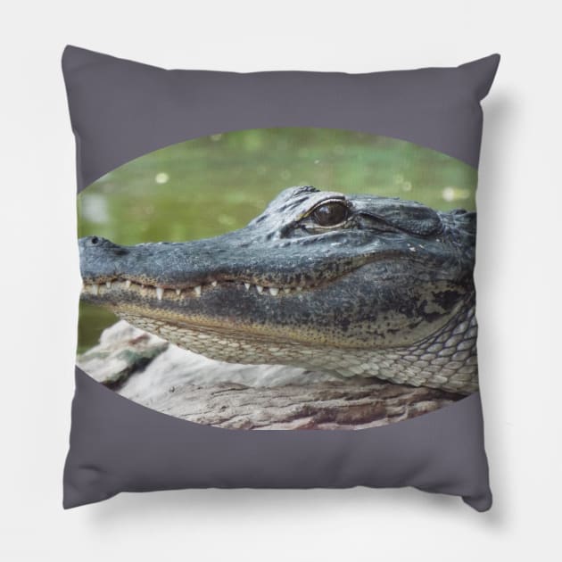 Gator Grin Pillow by HutzcraftDesigns