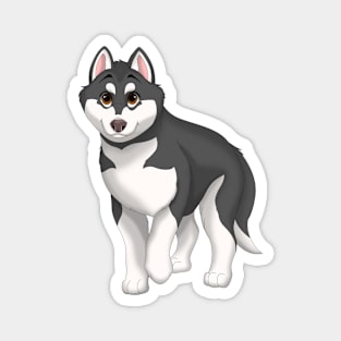 Black and White Siberian Husky Dog Brown Eyes Magnet