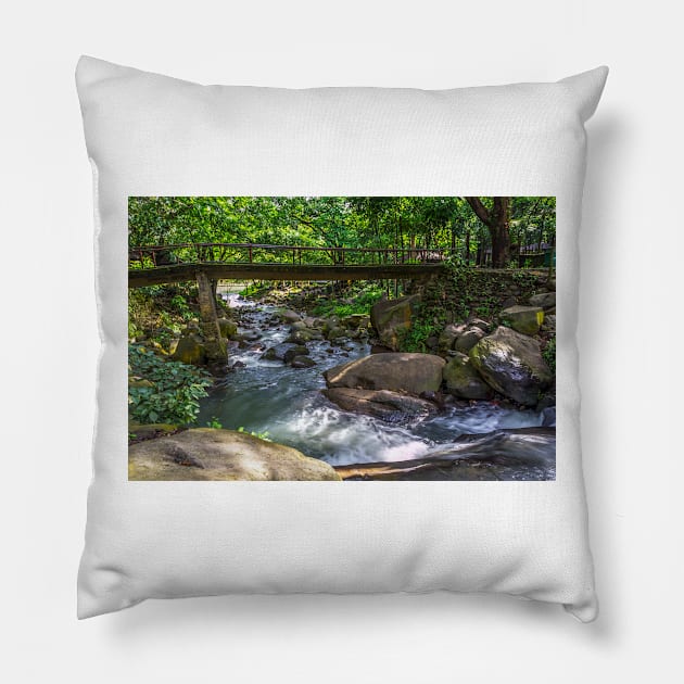 Nature Scene Pillow by likbatonboot