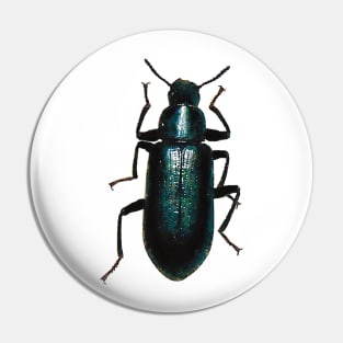 Black False Mealworm Beetle Pin