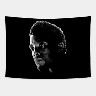 black panther Tapestry