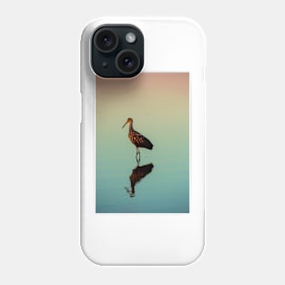 Limpkin at Sunset Phone Case