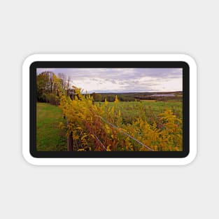 Fall Wildflowers Beautiful Autumn Season Peaceful Landscape Photograph Art Country Farmhouse Magnet