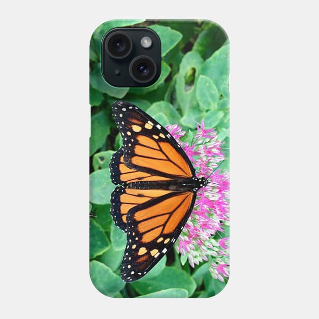 Monarch Butterfly Solo Phone Case by KT