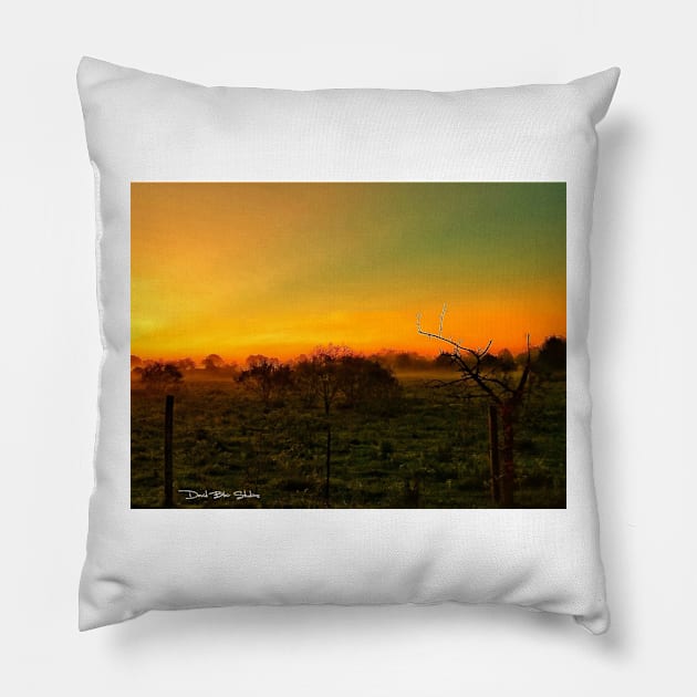 Sunrise Pillow by davidbstudios