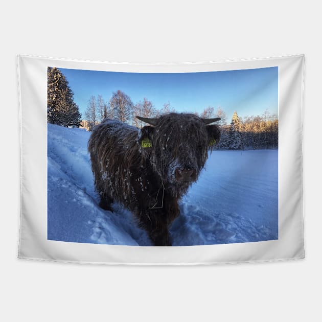 Scottish Highland Cattle Calf 1882 Tapestry by SaarelaHighland