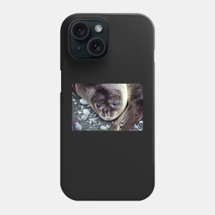 Babies, Nose to Tail. Southern Elephant Seal Pups, Macquarie Island Phone Case