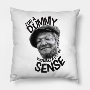 For a Dummy You Make a Lot of Sense Pillow