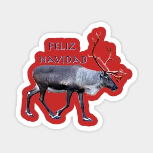 Feliz Navidad Magnet