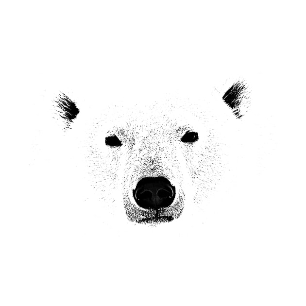 polar bear by pholange