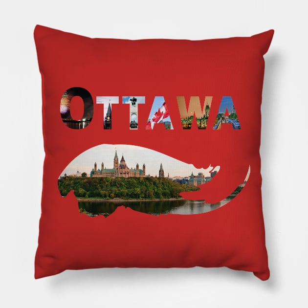 Ottawa Pillow by DarioNelaj