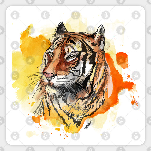 Colorful Tiger Sketch Watercolor Tiger Sticker Teepublic,Draw Together