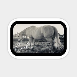 Arabian Mare in Meadow Magnet