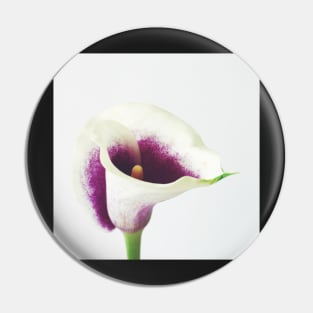 Calla Lily Pin