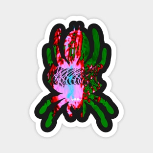 Tarantula Silhouette V30 (Tie Dye) Magnet