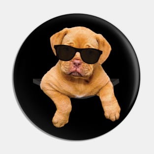 Cool Cute Puppy Dog In A Pocket Pin