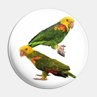 yellow-crowned parrot Pin