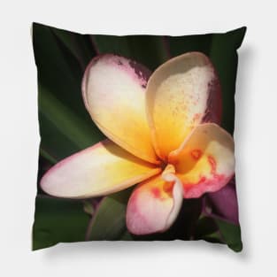 Caribbean Tropical Flower Pillow