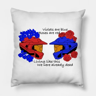 Red vs Blue Pillow