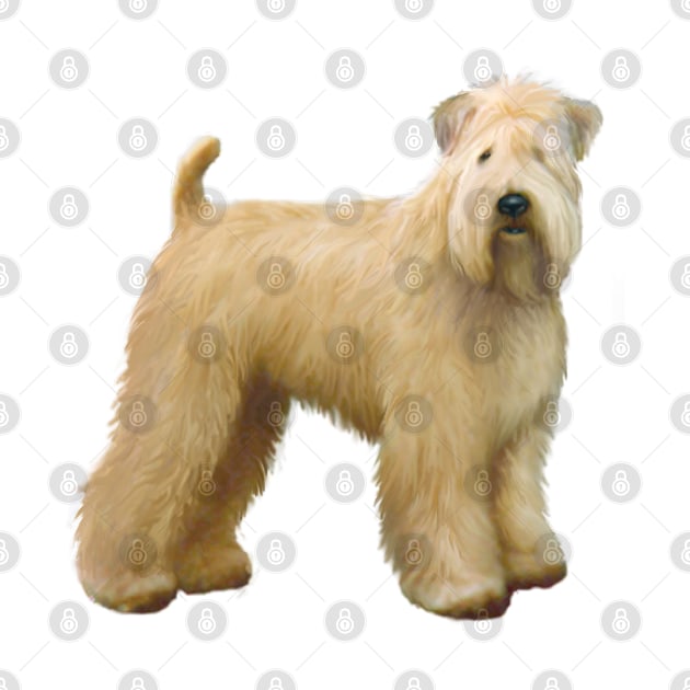 A Soft Coated Wheaten Terrier (standing) - Just the Dog by Dogs Galore and More