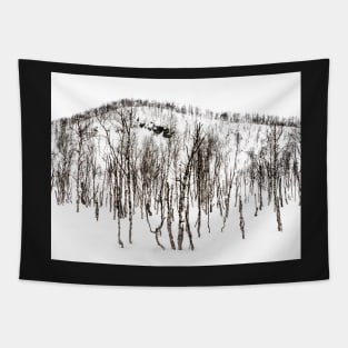 Northern Norway winter forest Tapestry