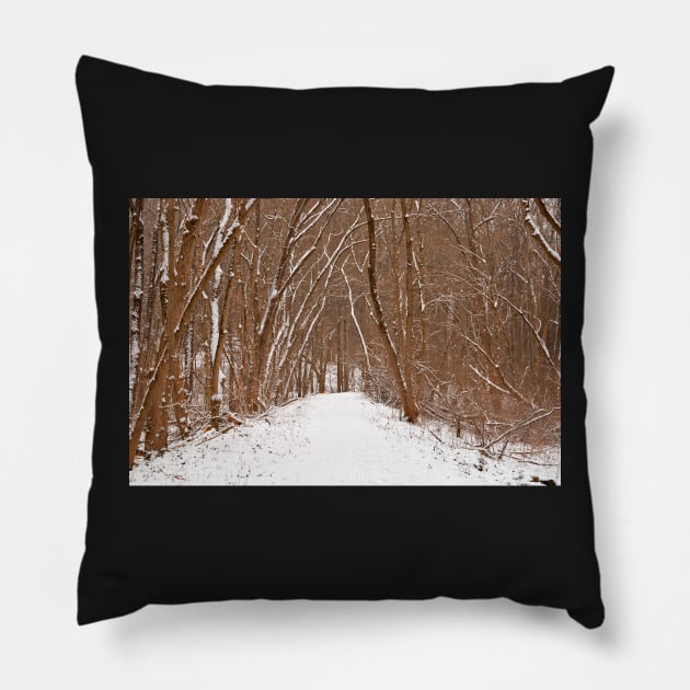 Winter Forest Tipi Trail Pillow by somadjinn