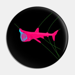 Basking shark Cetorhinus maximus Pin