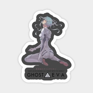 Ghost in the EVA Magnet