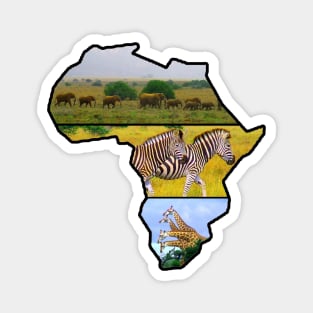 African Wildlife Continent Collage Magnet