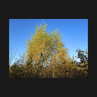 Autumn Leaves & Blue Skies T-Shirt