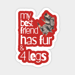 Dogs, My Best Friend Has Fur And Four Legs Magnet