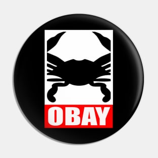 OBAY Pin