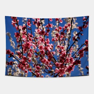 Spring Blossom Tapestry