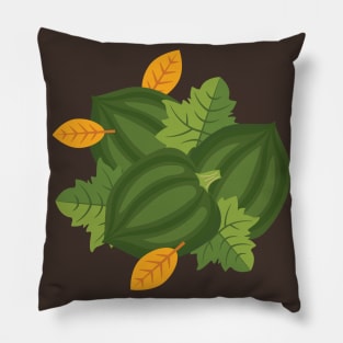 Fall Squash Pillow