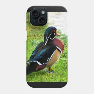 A Wood Duck I Found At My Local Duck Pond Phone Case