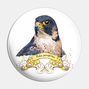 Peregrine falcon Pin