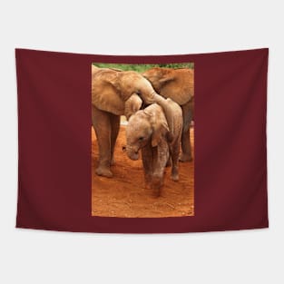 Affectionate Playmates: Baby Elephants Tapestry