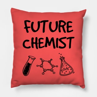 Future Chemist Pillow