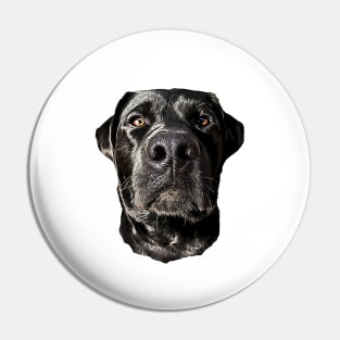 Labrador Retriever Black Dog Pin