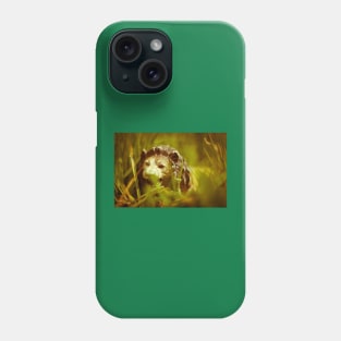 King of the Jungle - Nostalgic Playtime Phone Case